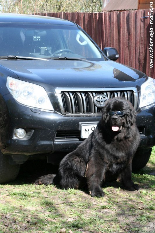 Фотография № 207041