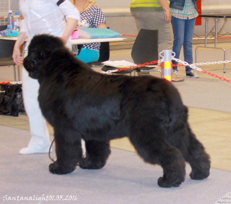 Фотография № 207043