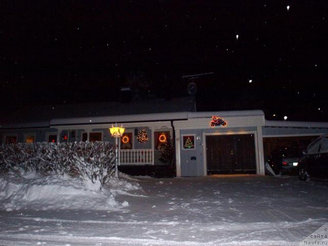 Фотография № 20708