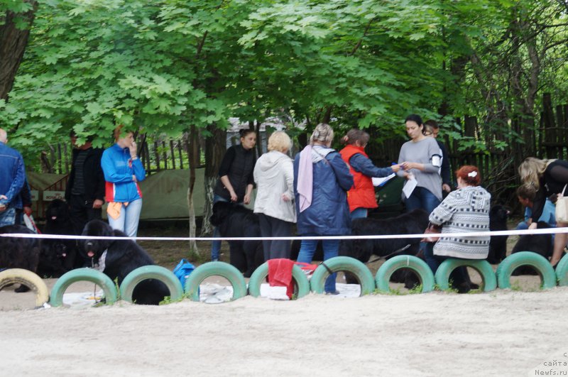 Фотография № 207094