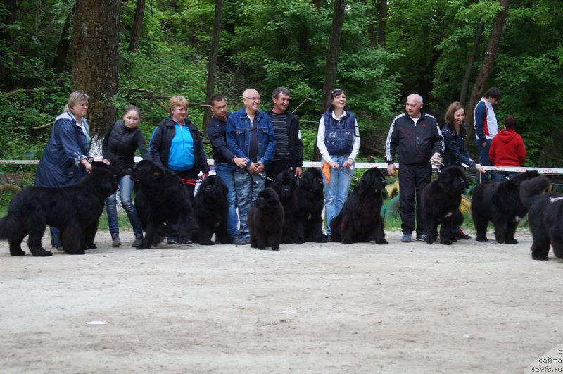 Фотография № 207095