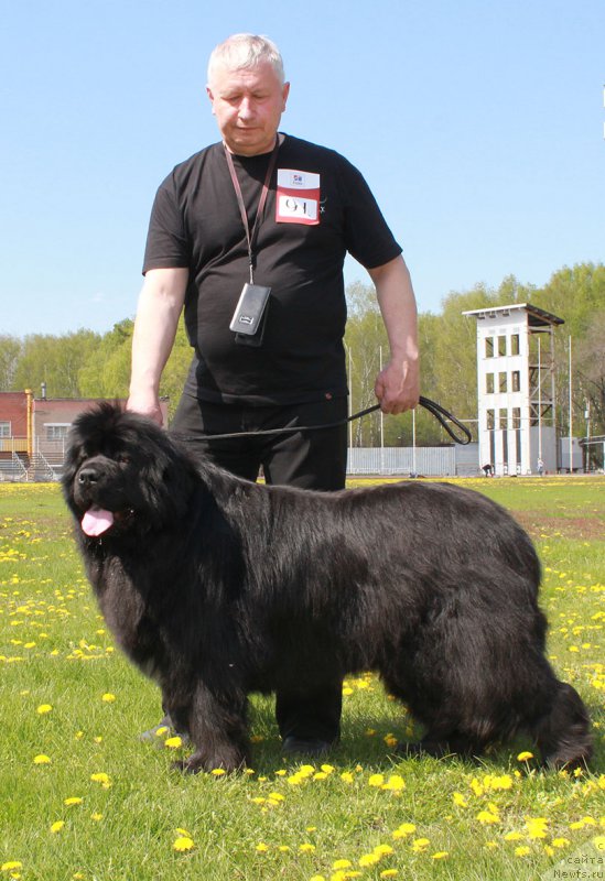 Фотография № 207098