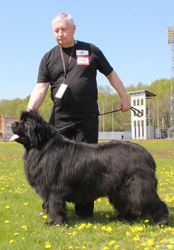 Фотография № 207099