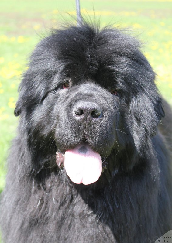 Фотография № 207100