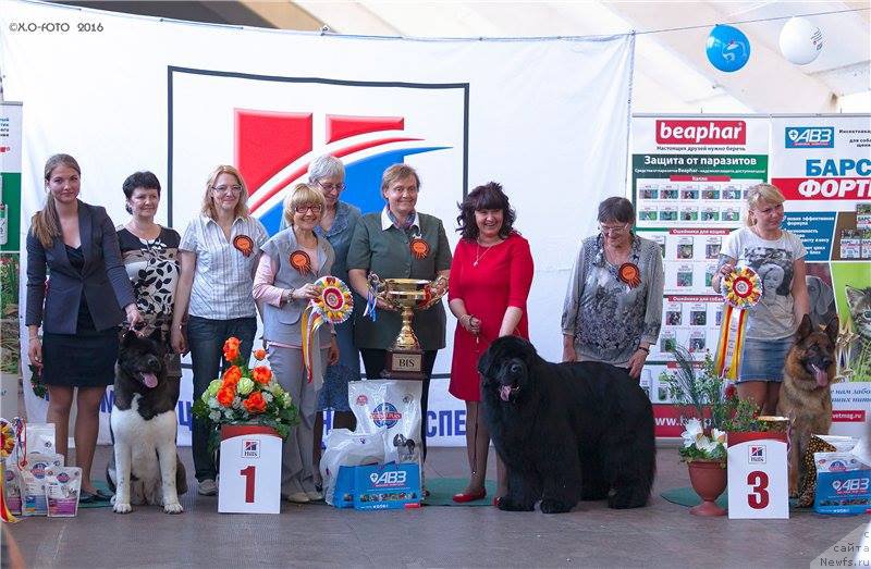 Фотография № 207112