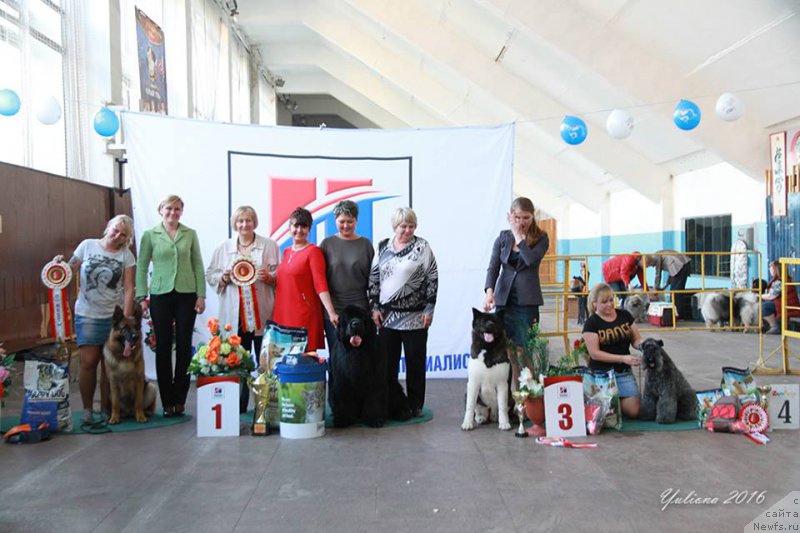 Фотография № 207113