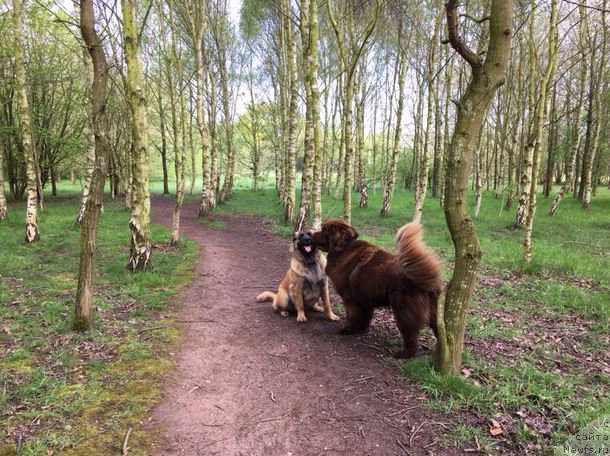 Фотография № 207127