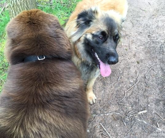 Фотография № 207128