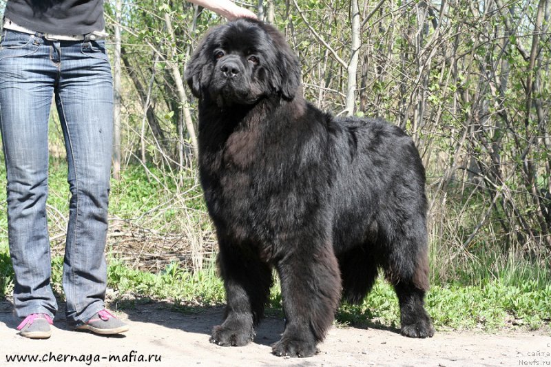 Фотография № 207140