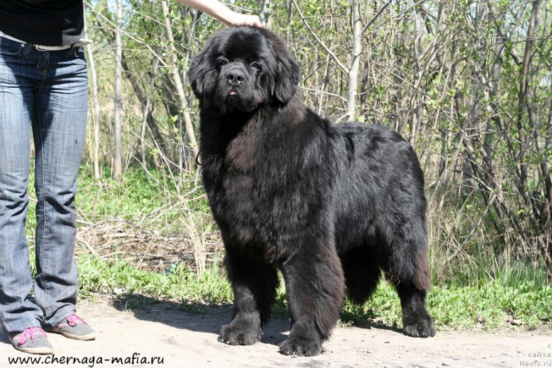 Фотография № 207141