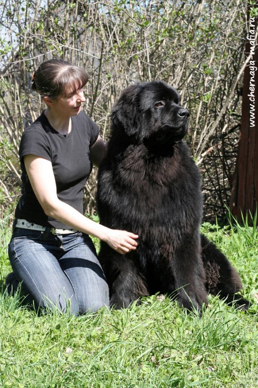 Фотография № 207149