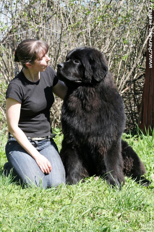 Фотография № 207151