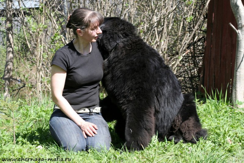 Фотография № 207155