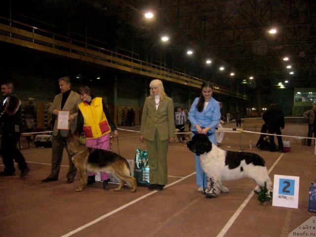 Фотография № 20716