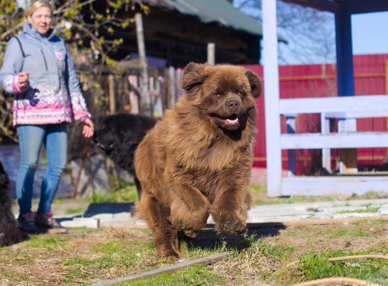 Фотография № 207200