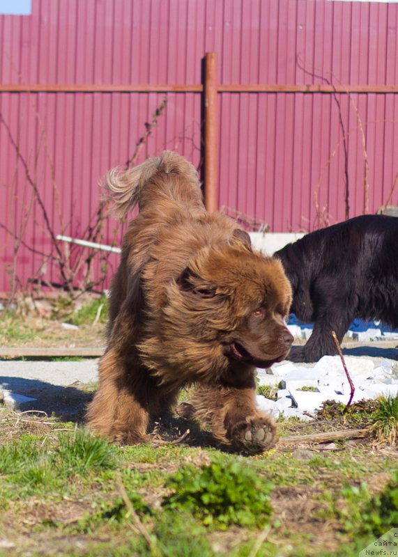 Фотография № 207203