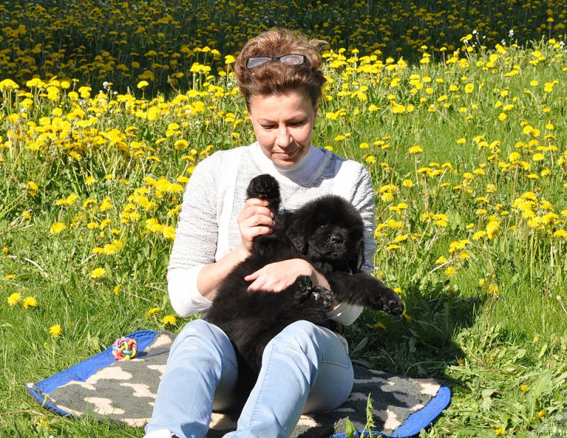 Фото: Юлиана Никифорова