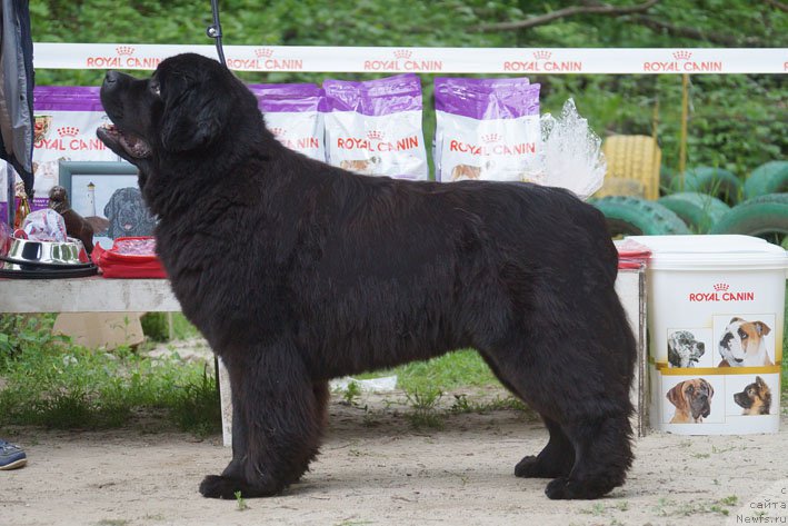 Фотография № 207246