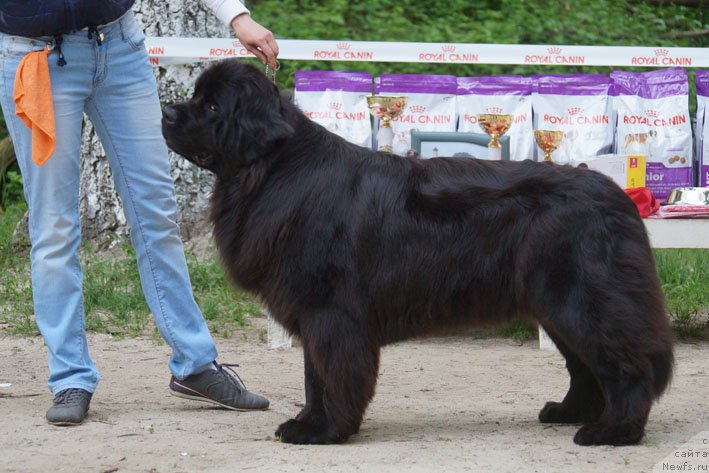 Фотография № 207247