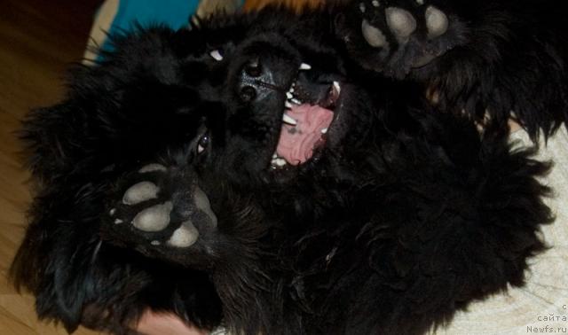 Фотография № 20728