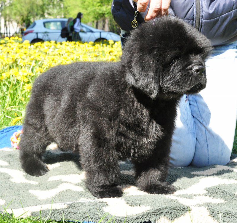 Фото: Бегущая по волнам ГЕЙМ ОФ ТРОНЕС