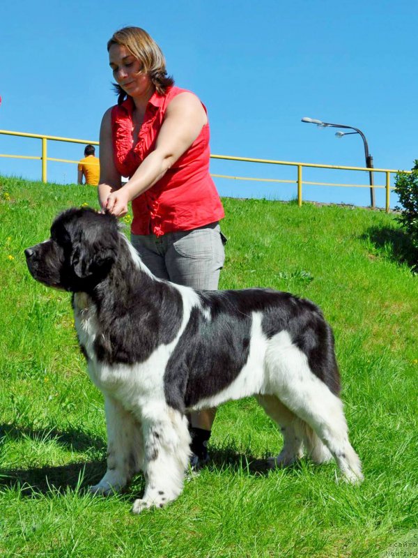 Фотография № 207307