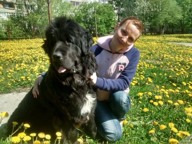 Фото: Игорь Сорокин