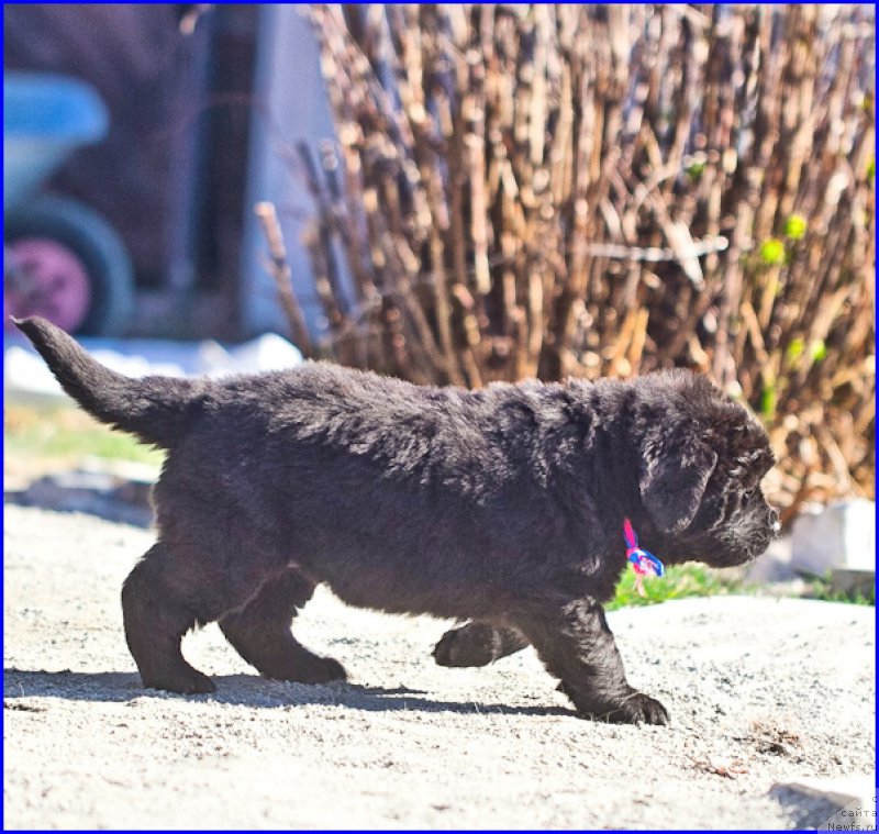 Фотография № 207400