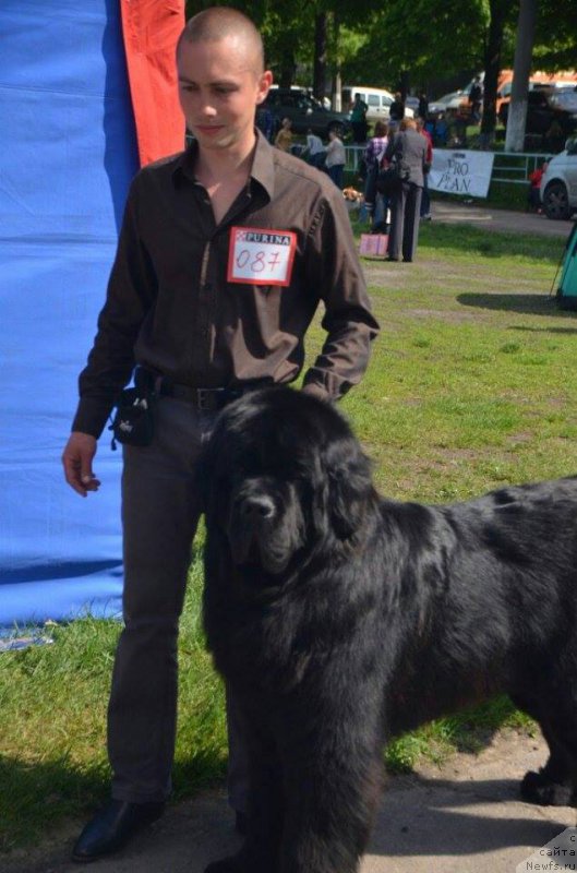 Фотография № 207419