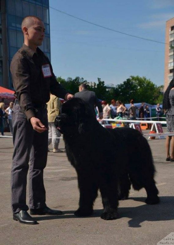 Фотография № 207422