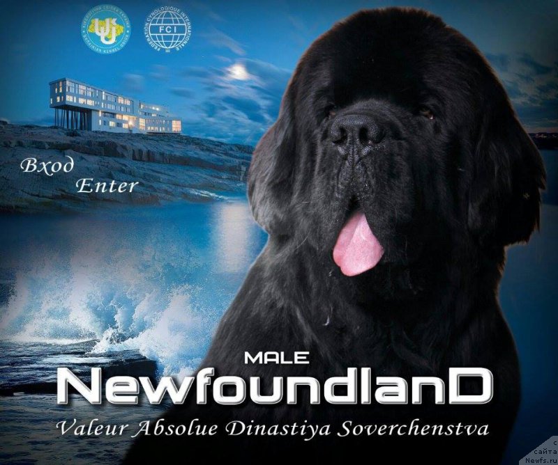 Фотография № 207423