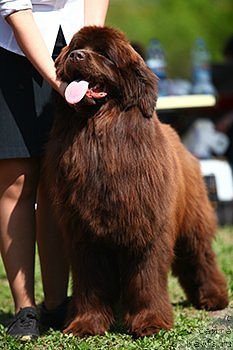 Фотография № 207432