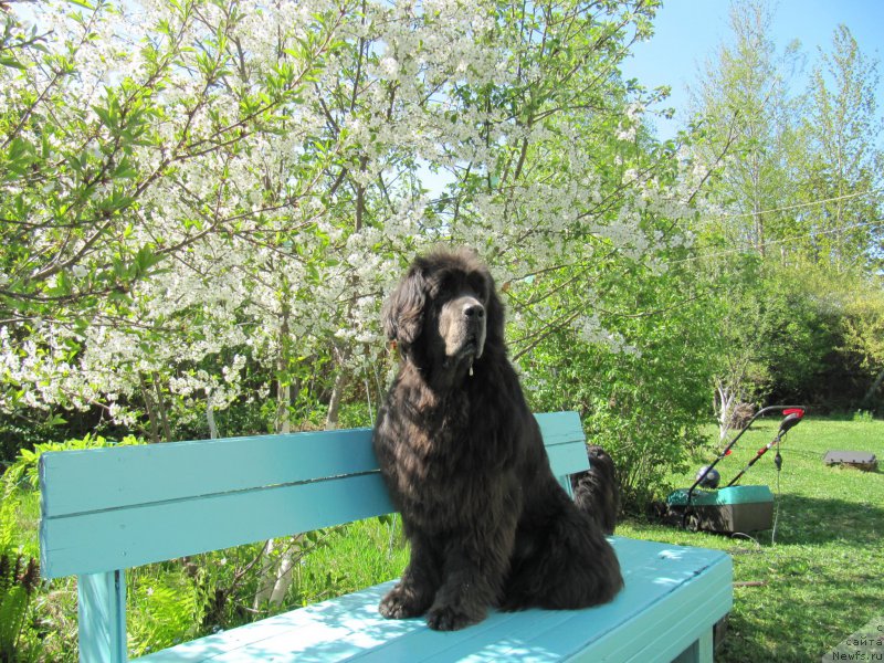 Фотография № 207483