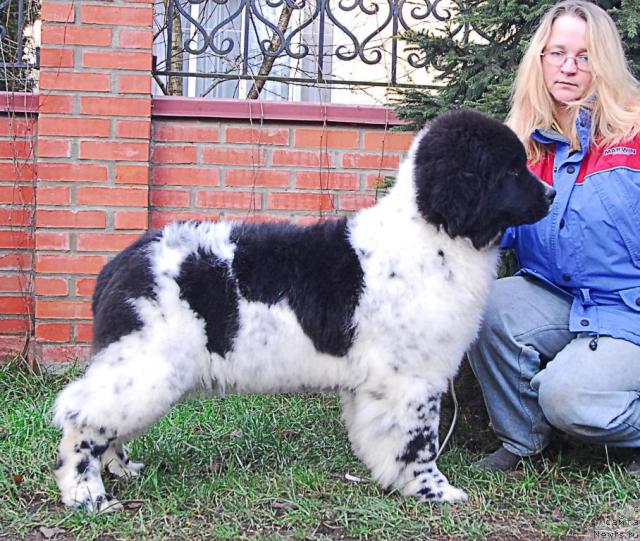 Фотография № 20752