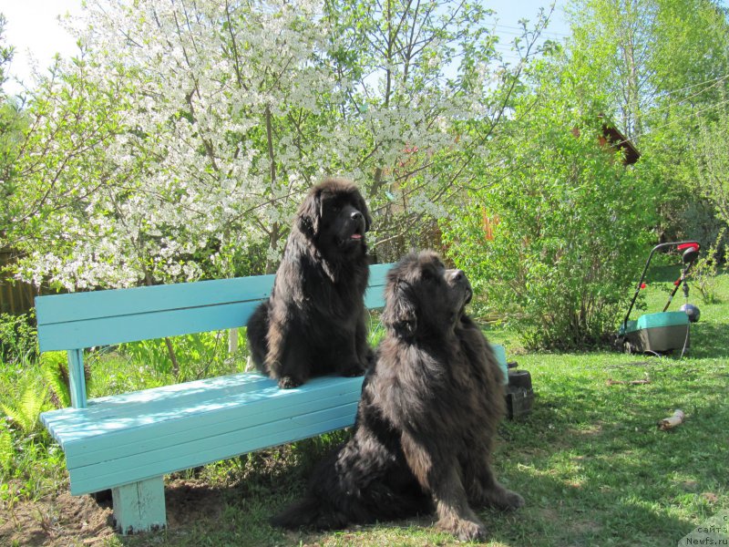 Фотография № 207540