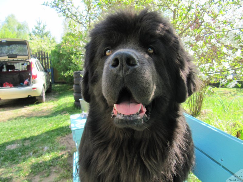 Фотография № 207543