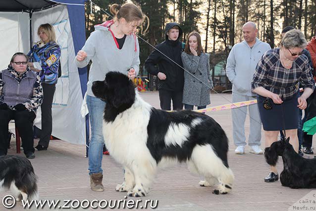 Фотография № 207546