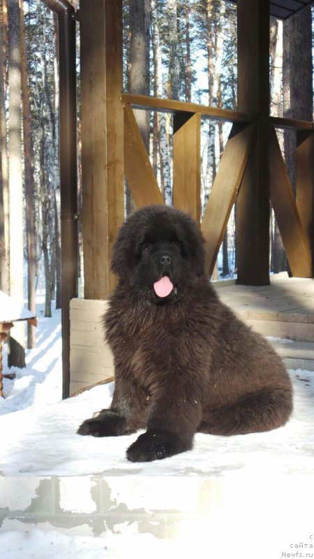 Фотография № 207556