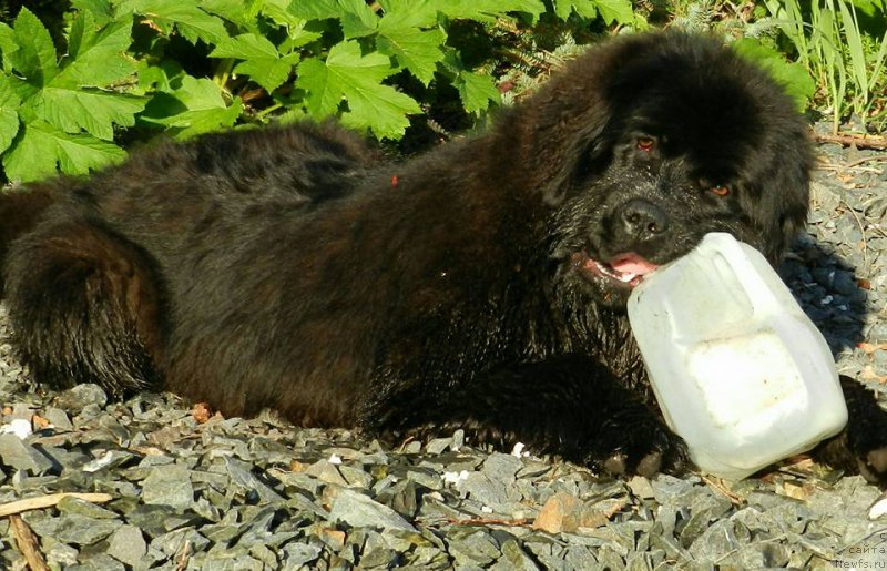 Фотография № 207563