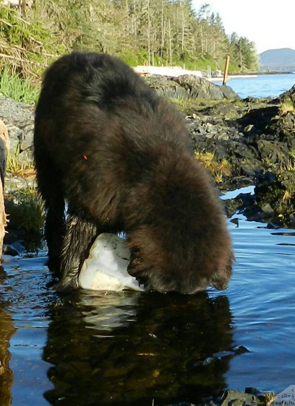 Фотография № 207564