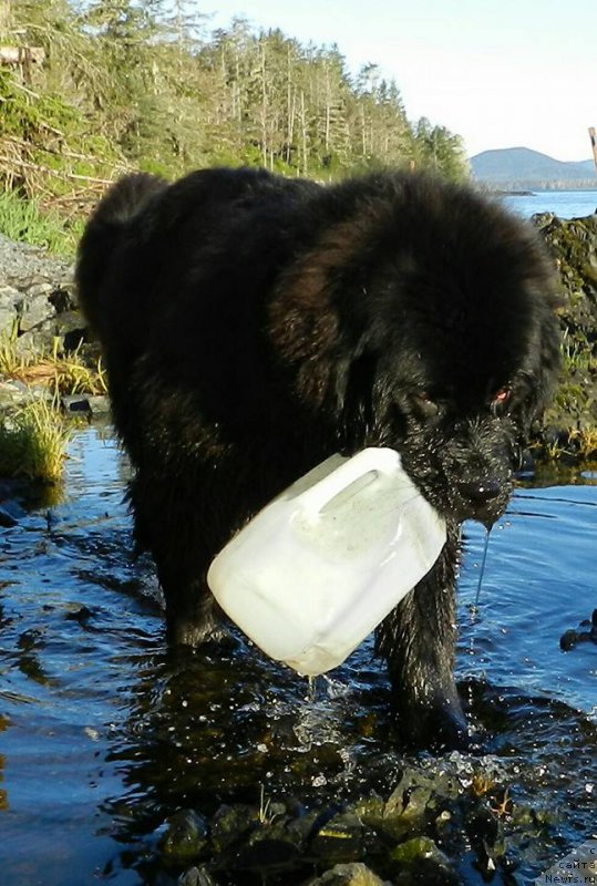 Фотография № 207565