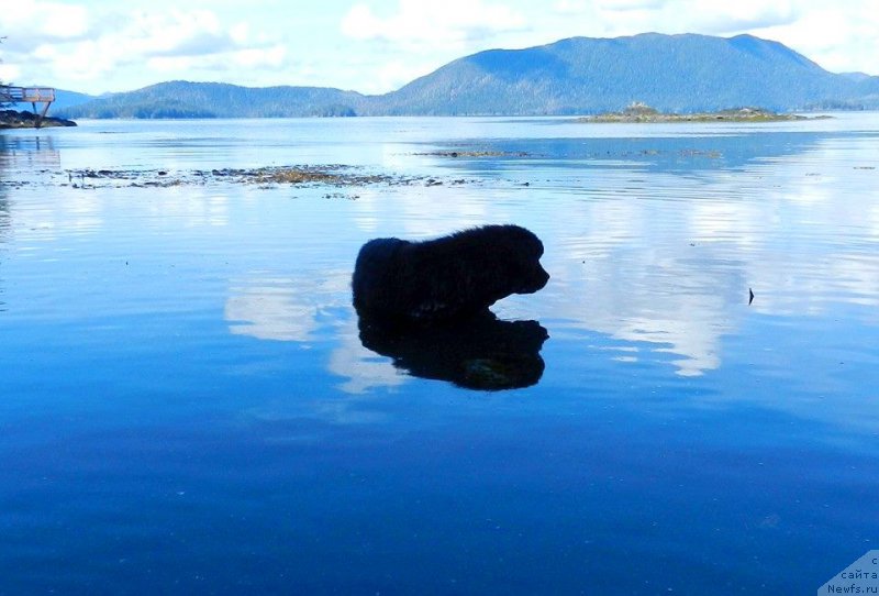 Фотография № 207567