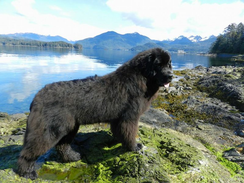 Фотография № 207568