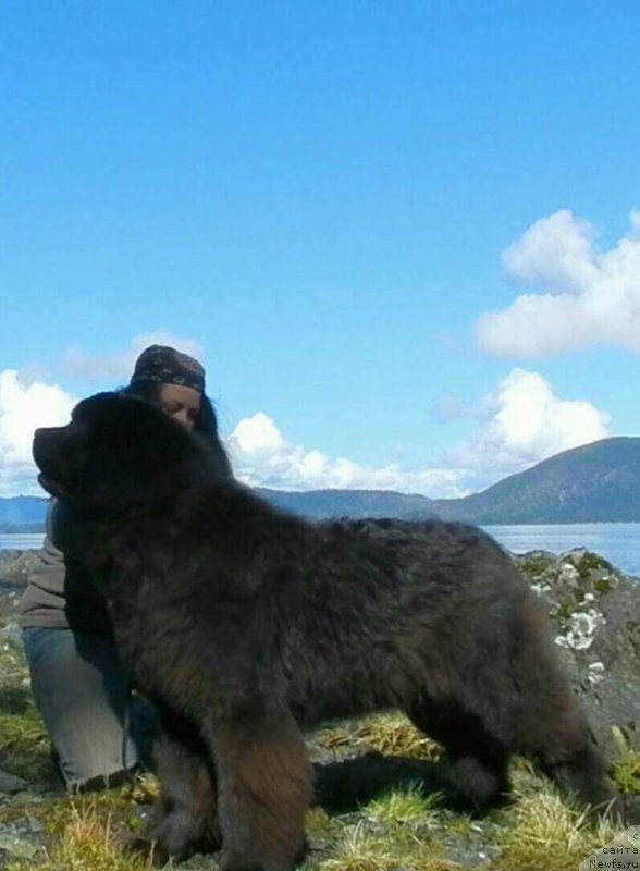 Фотография № 207572