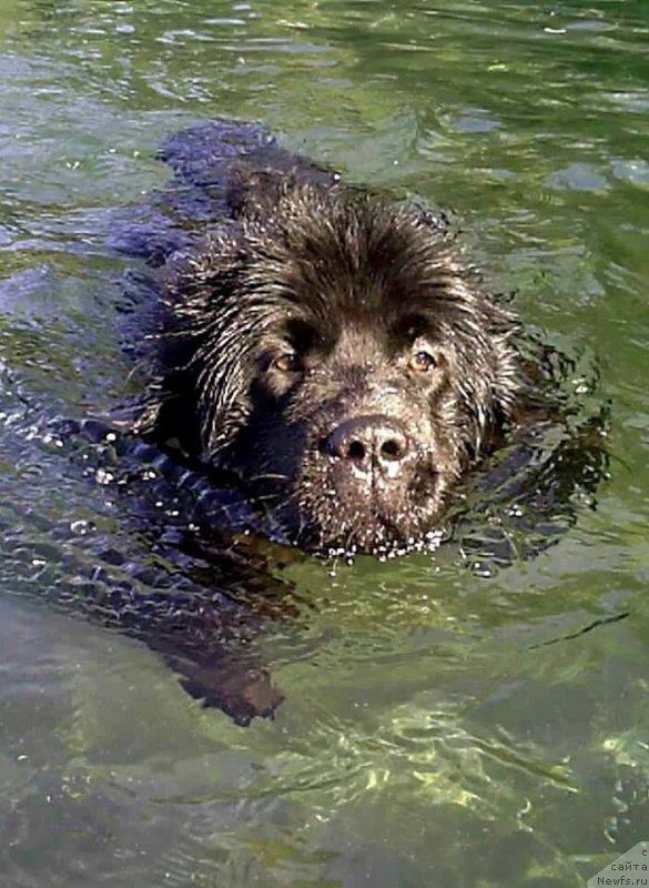 Фотография № 207574