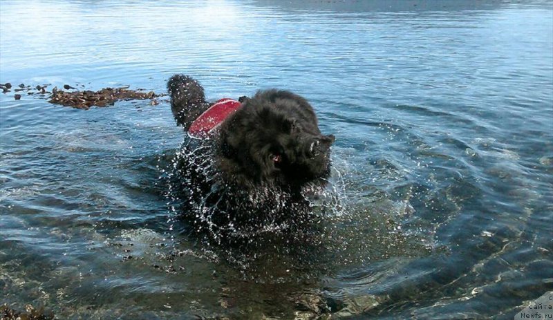 Фотография № 207575