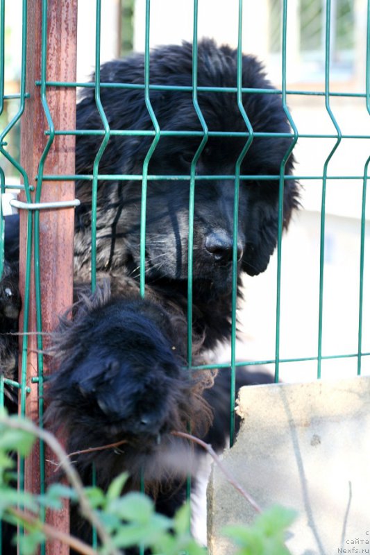 Фотография № 207591