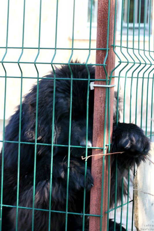 Фотография № 207592