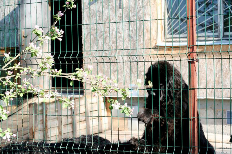 Фотография № 207594