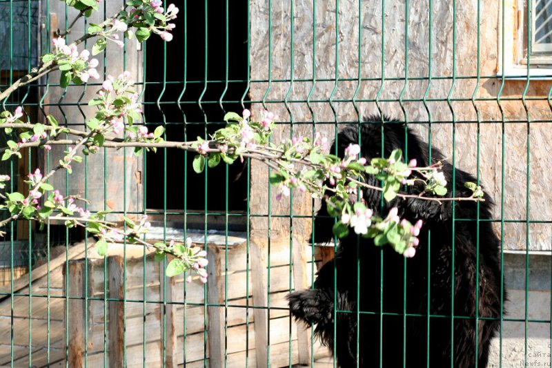 Фотография № 207595